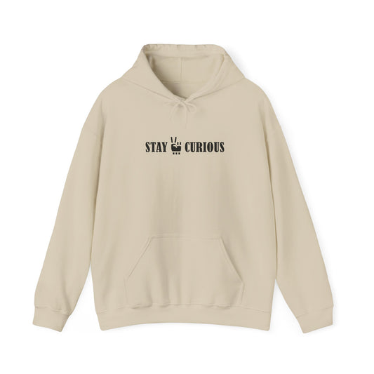 Stay Curious Hoodie