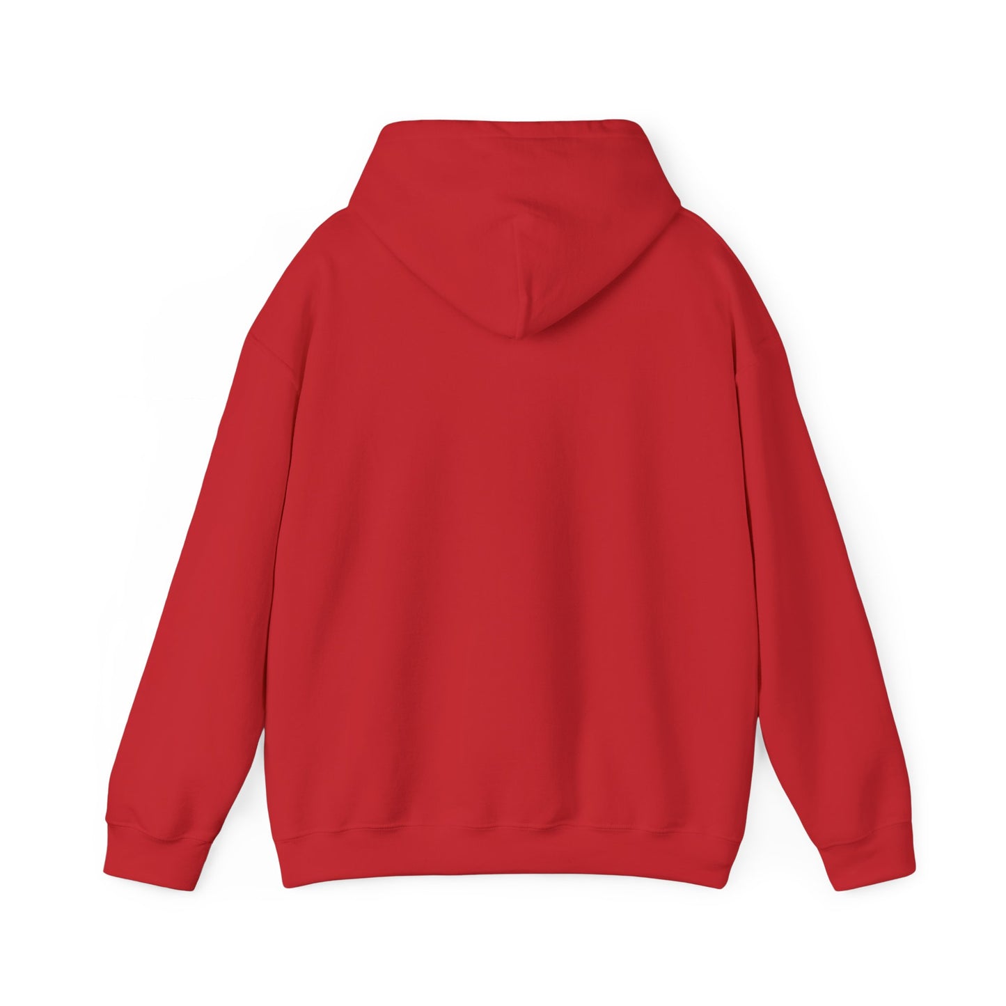 Stay Curious Hoodie