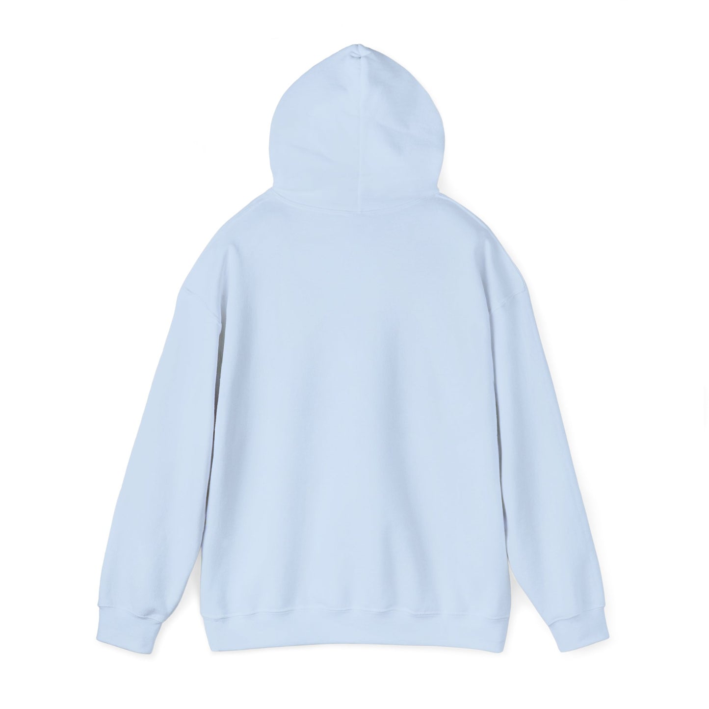 Stay Curious Hoodie