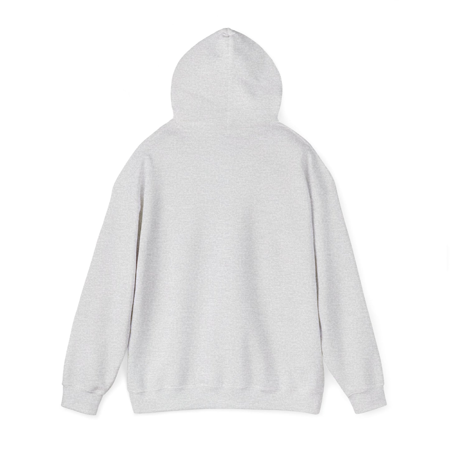 Stay Curious Hoodie