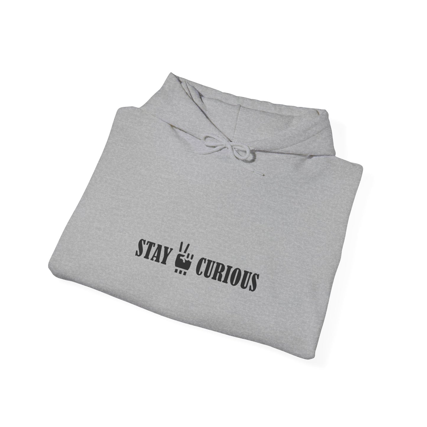 Stay Curious Hoodie