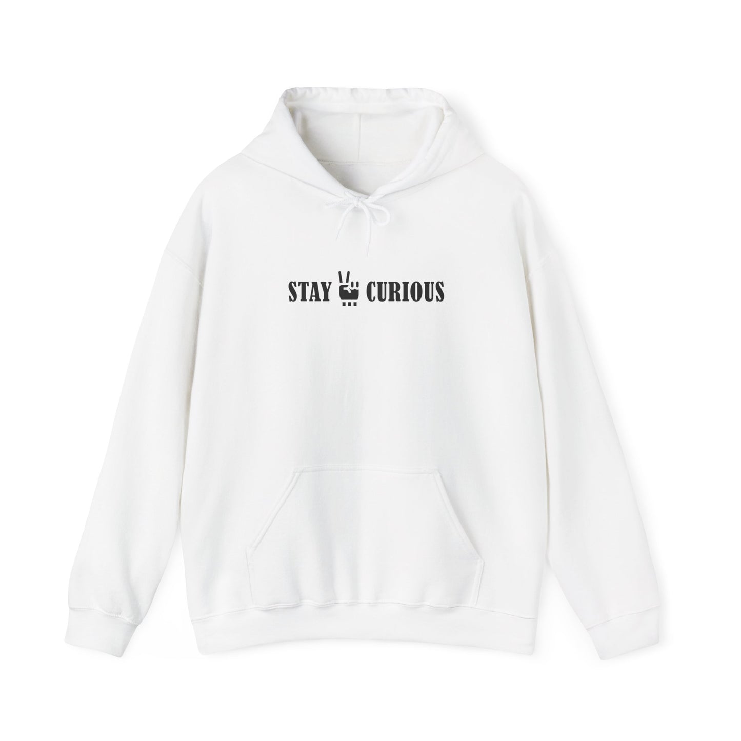 Stay Curious Hoodie