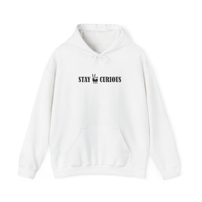 Stay Curious Hoodie