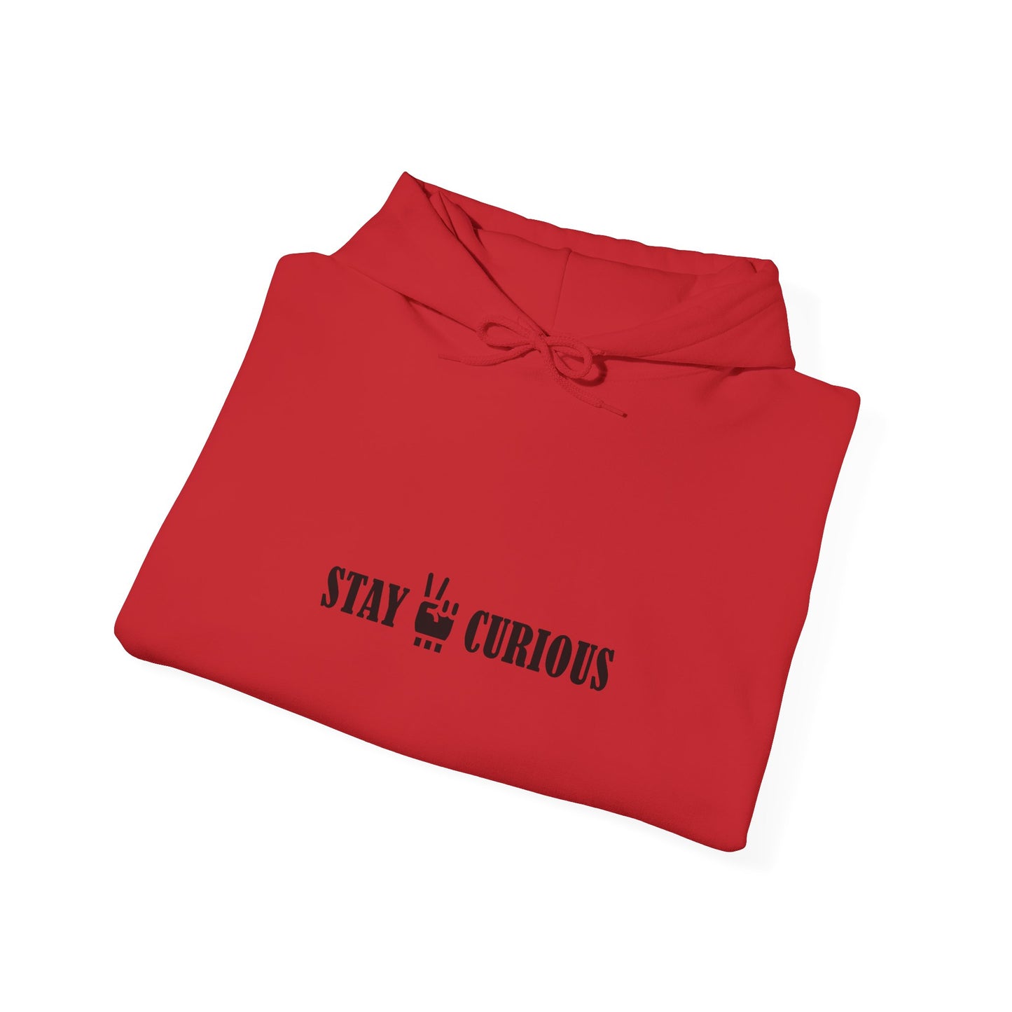 Stay Curious Hoodie