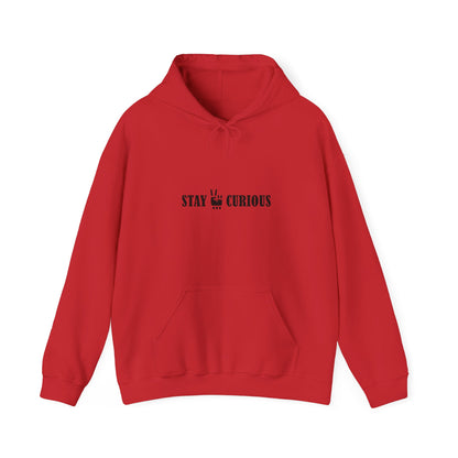 Stay Curious Hoodie