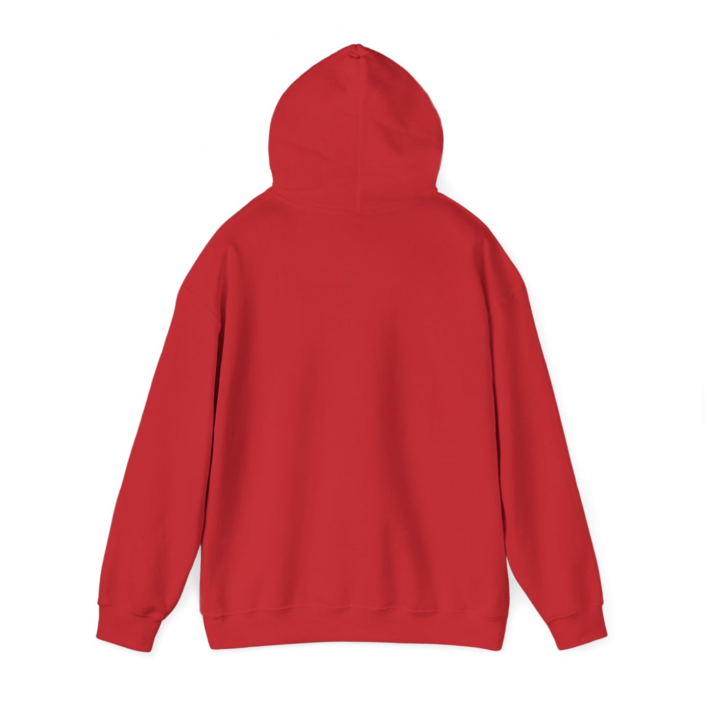 Stay Curious Hoodie