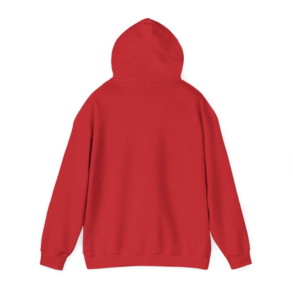 Stay Curious Hoodie