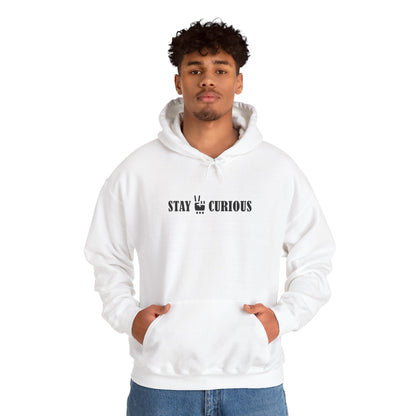 Stay Curious Hoodie