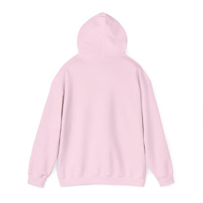 Stay Curious Hoodie