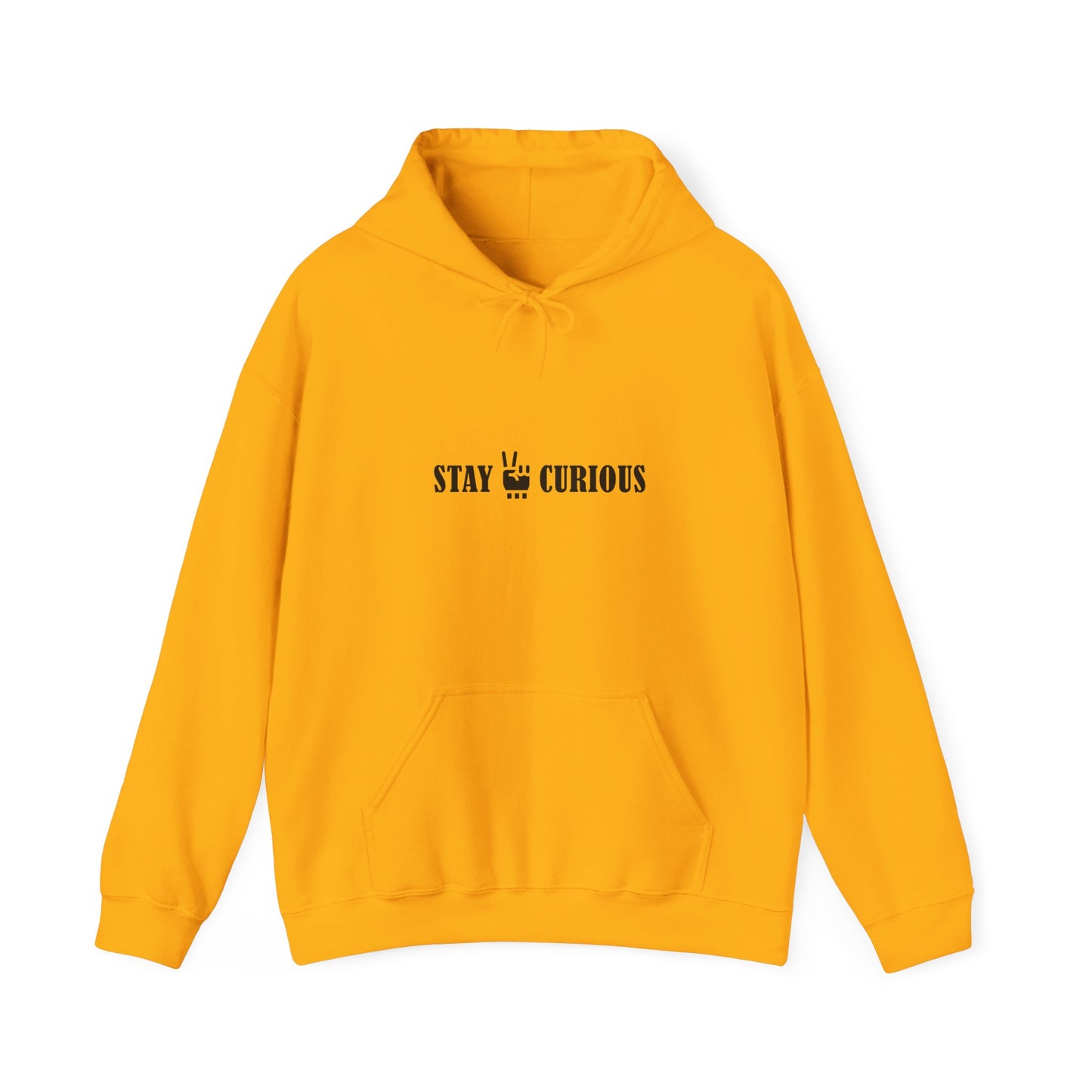 Stay Curious Hoodie