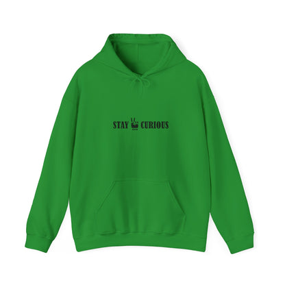 Stay Curious Hoodie