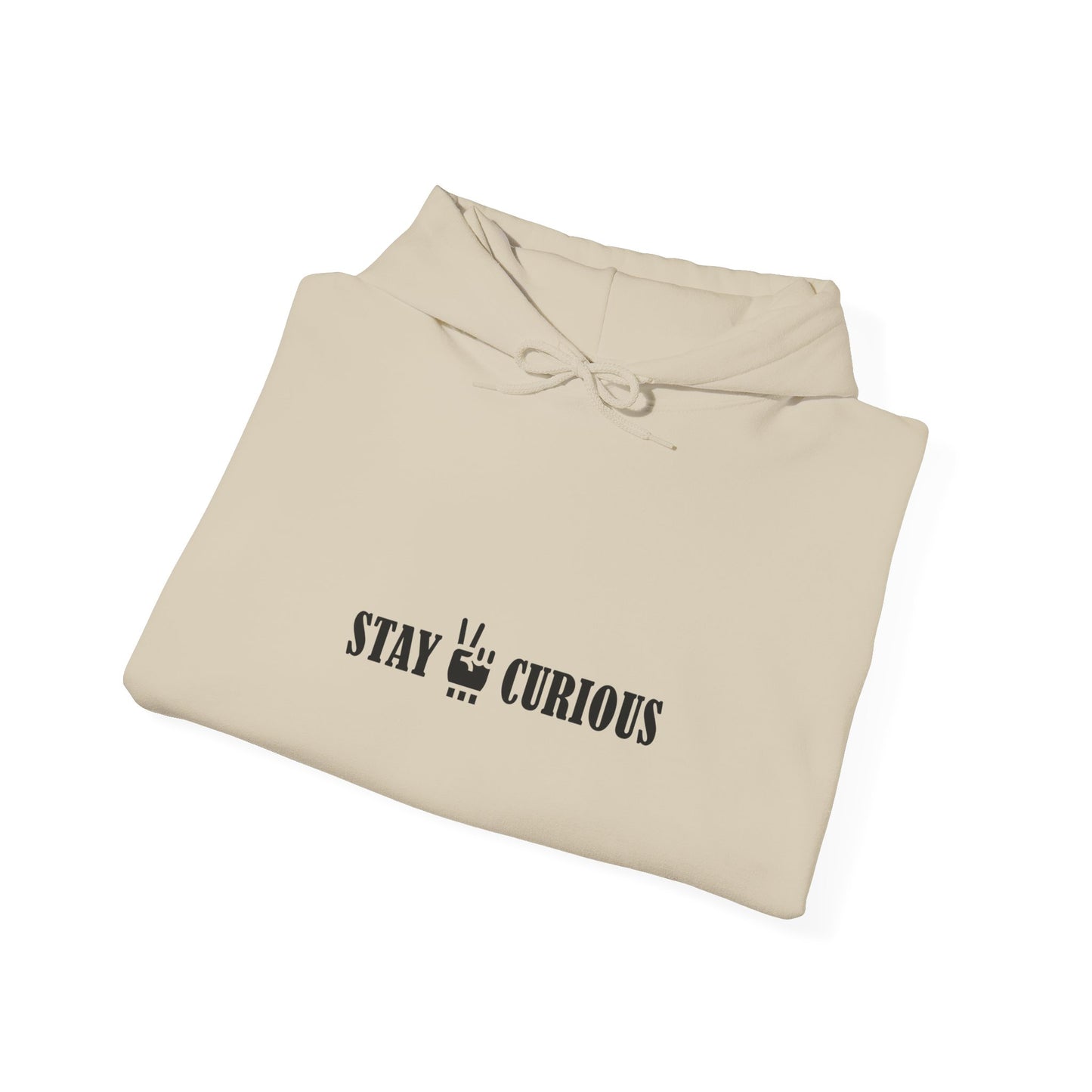 Stay Curious Hoodie