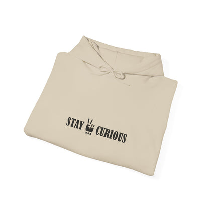 Stay Curious Hoodie