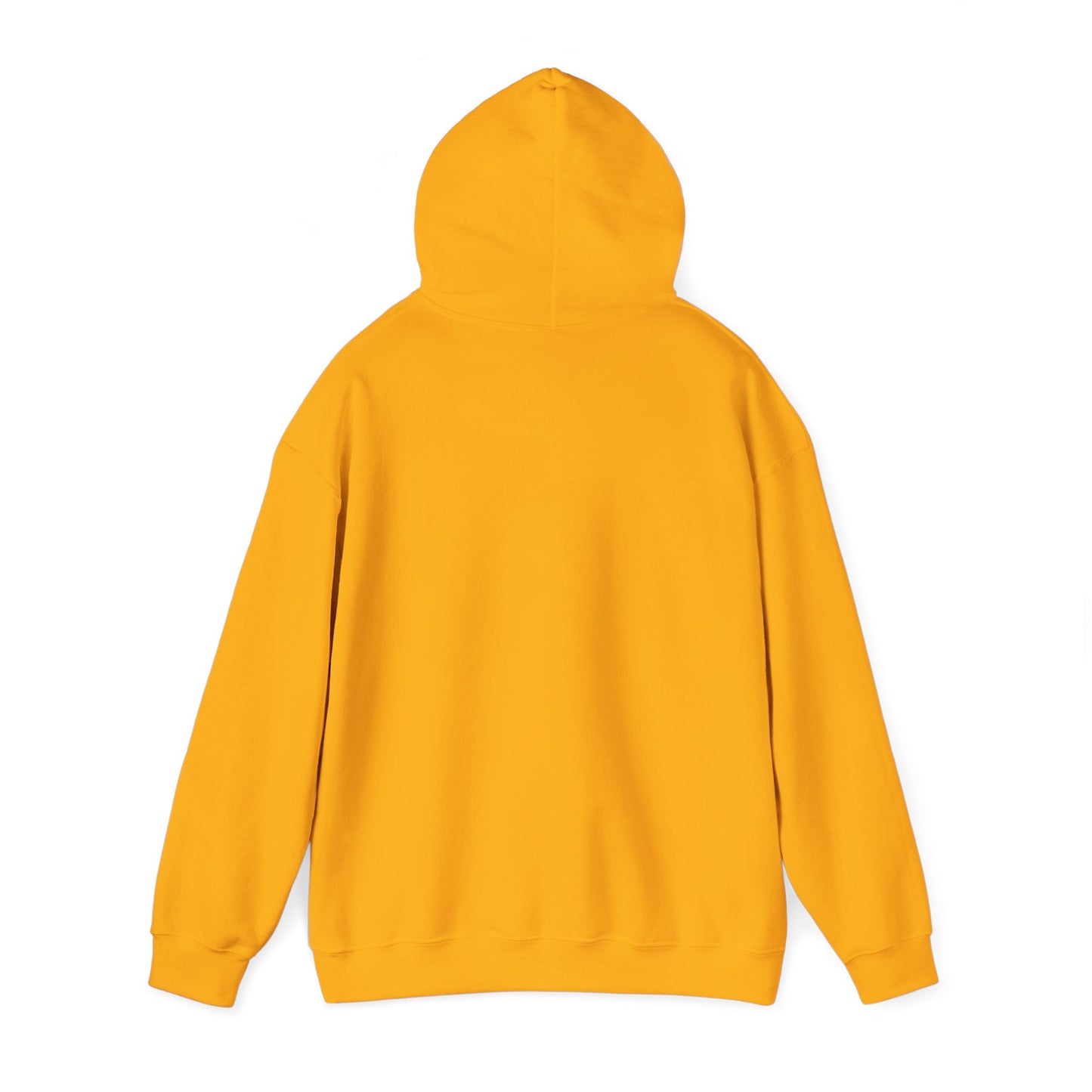 Stay Curious Hoodie