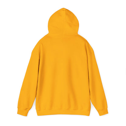 Stay Curious Hoodie