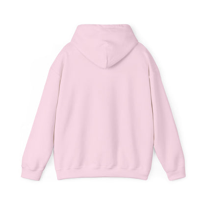 Stay Curious Hoodie