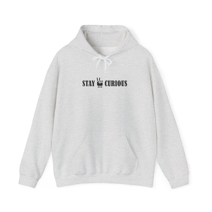 Stay Curious Hoodie