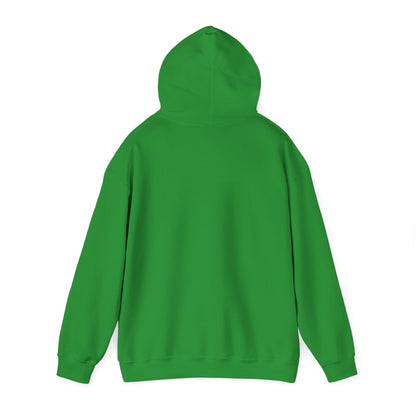 Stay Curious Hoodie