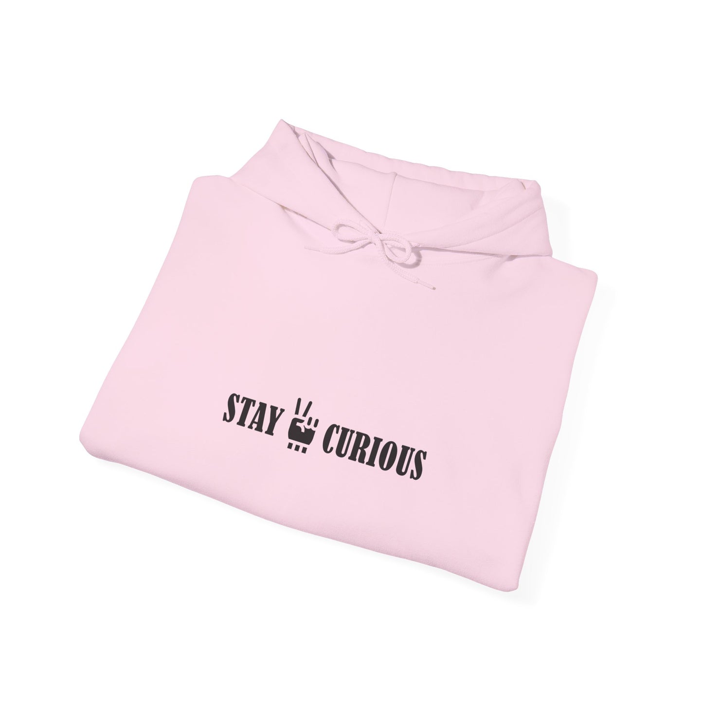 Stay Curious Hoodie