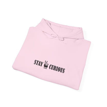 Stay Curious Hoodie