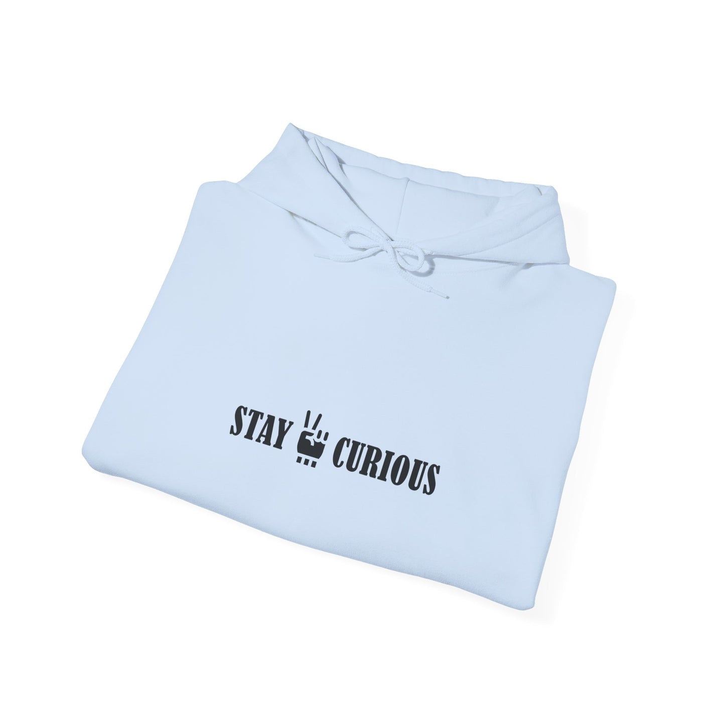 Stay Curious Hoodie