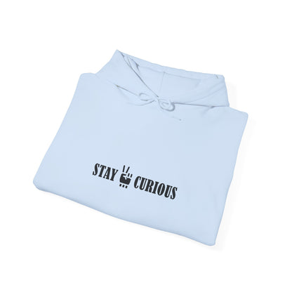 Stay Curious Hoodie
