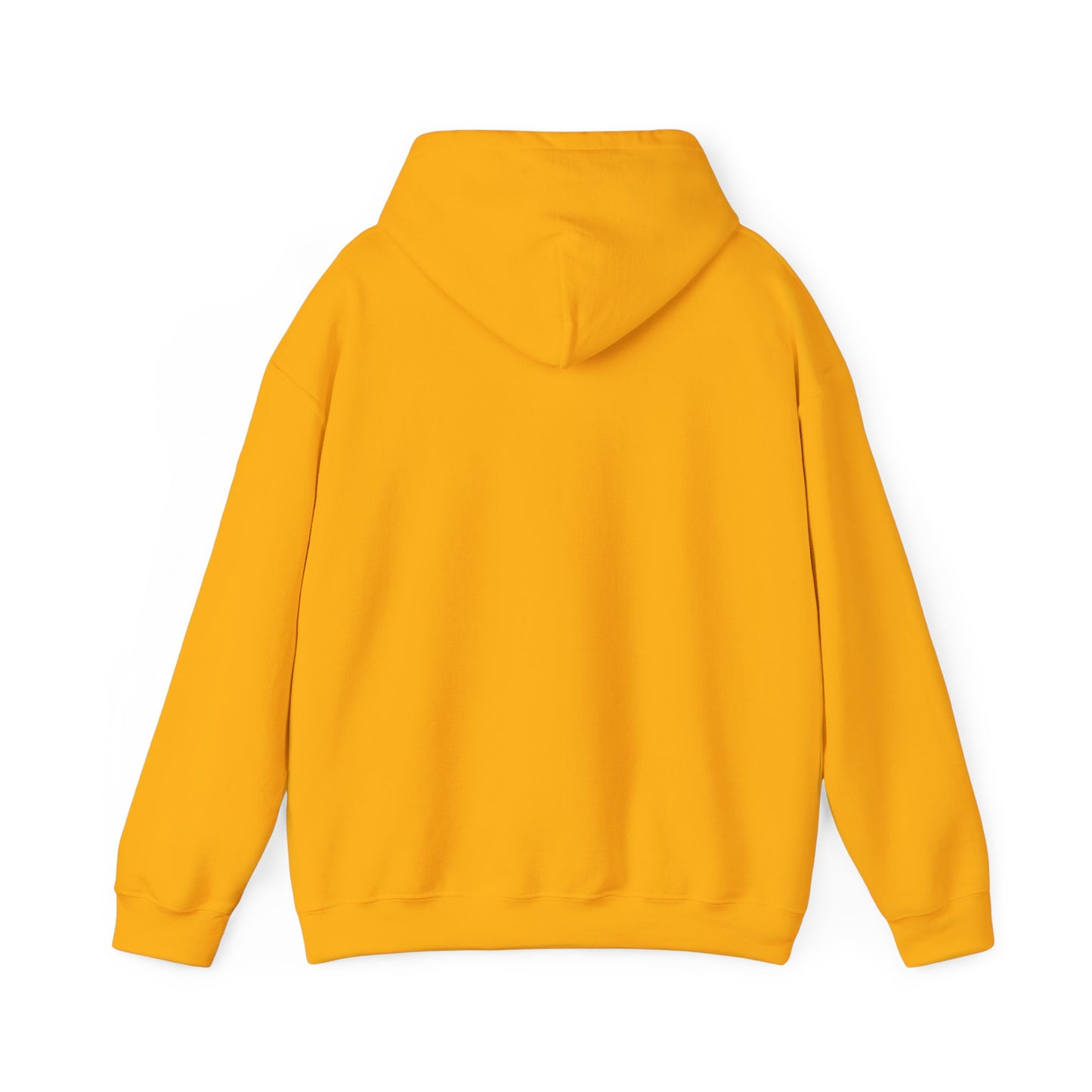 Stay Curious Hoodie