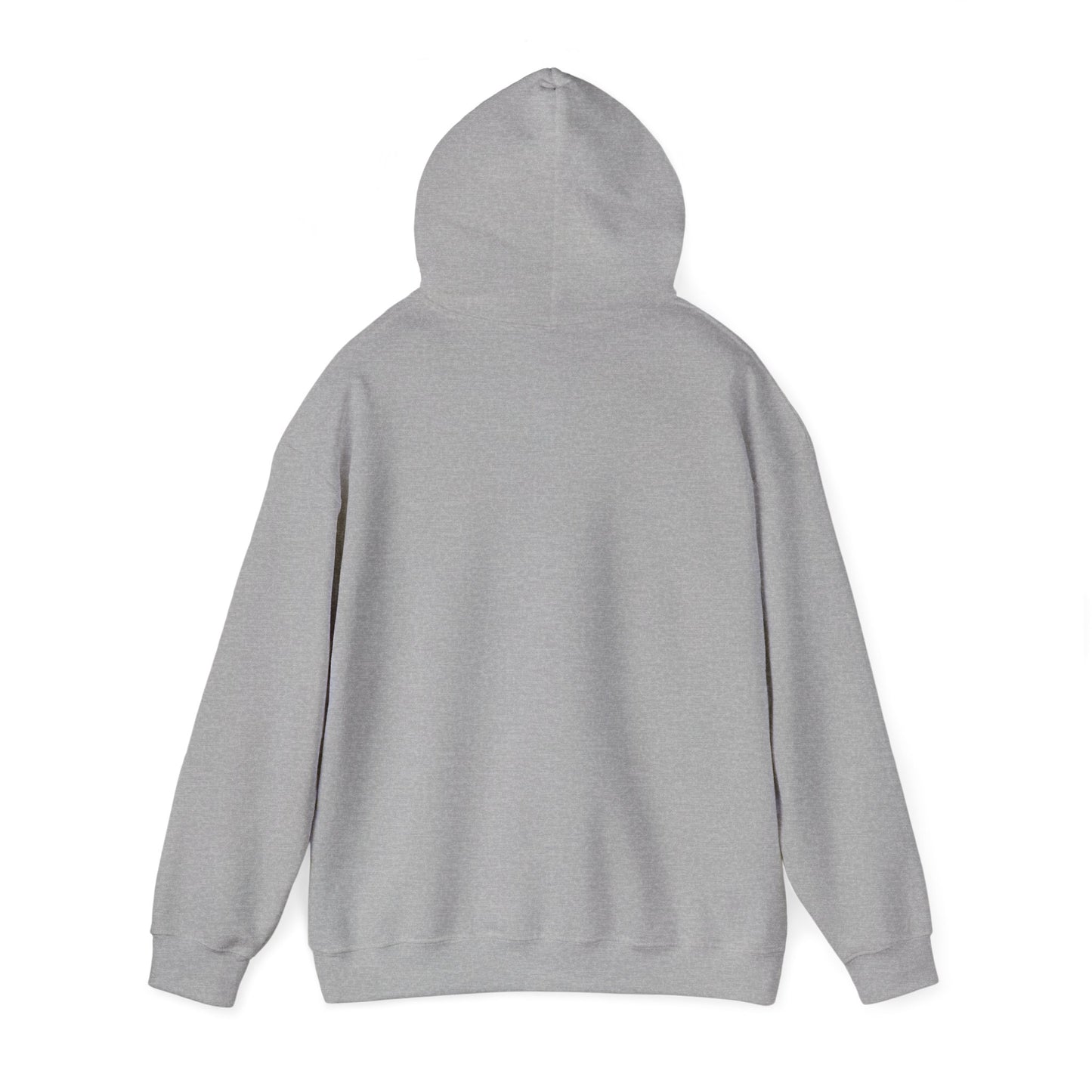 Stay Curious Hoodie