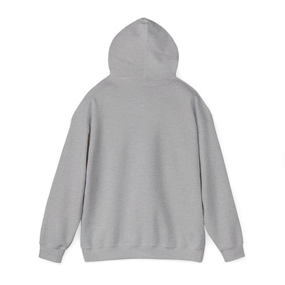 Stay Curious Hoodie