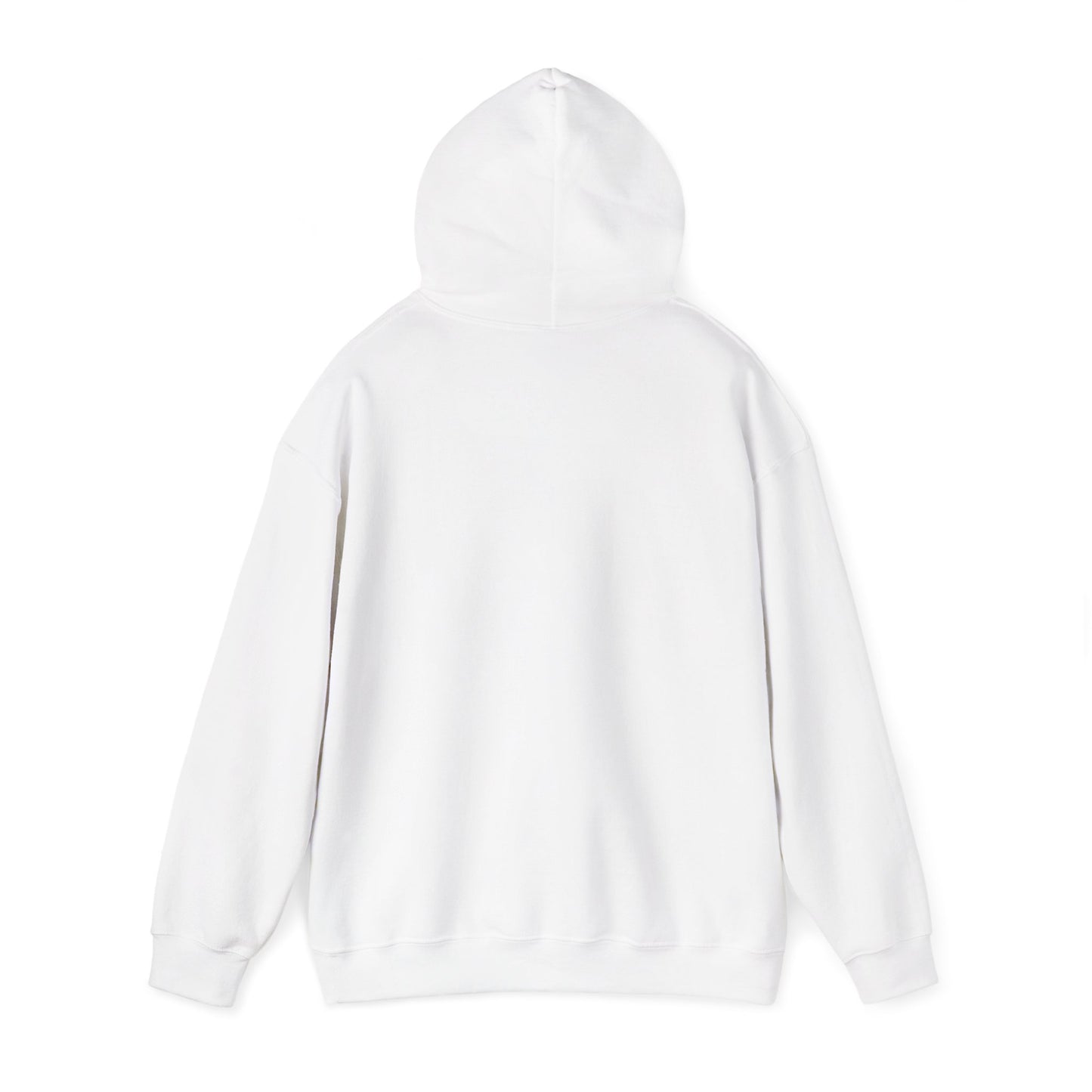Stay Curious Hoodie