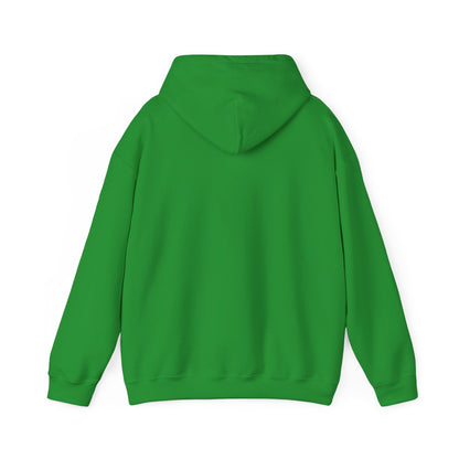 Stay Curious Hoodie