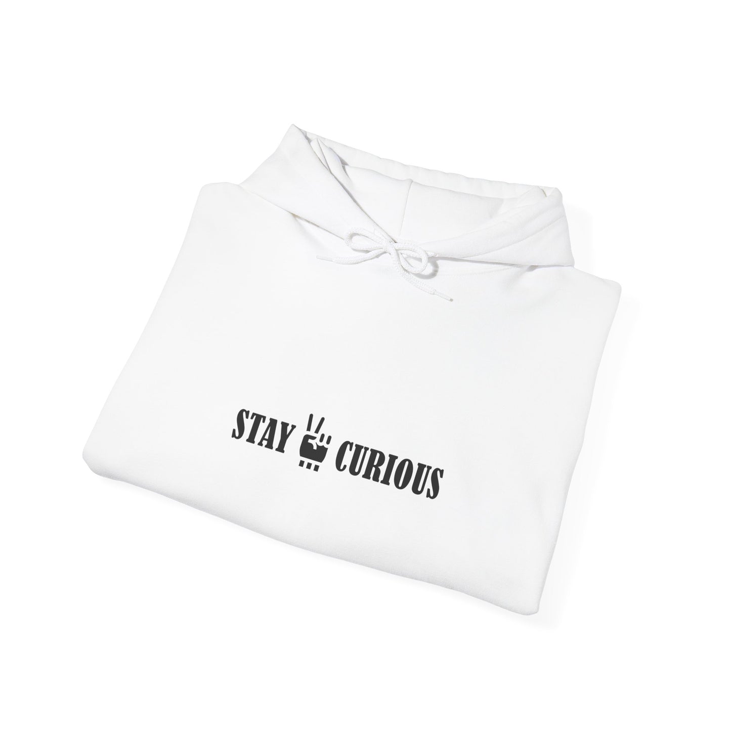 Stay Curious Hoodie