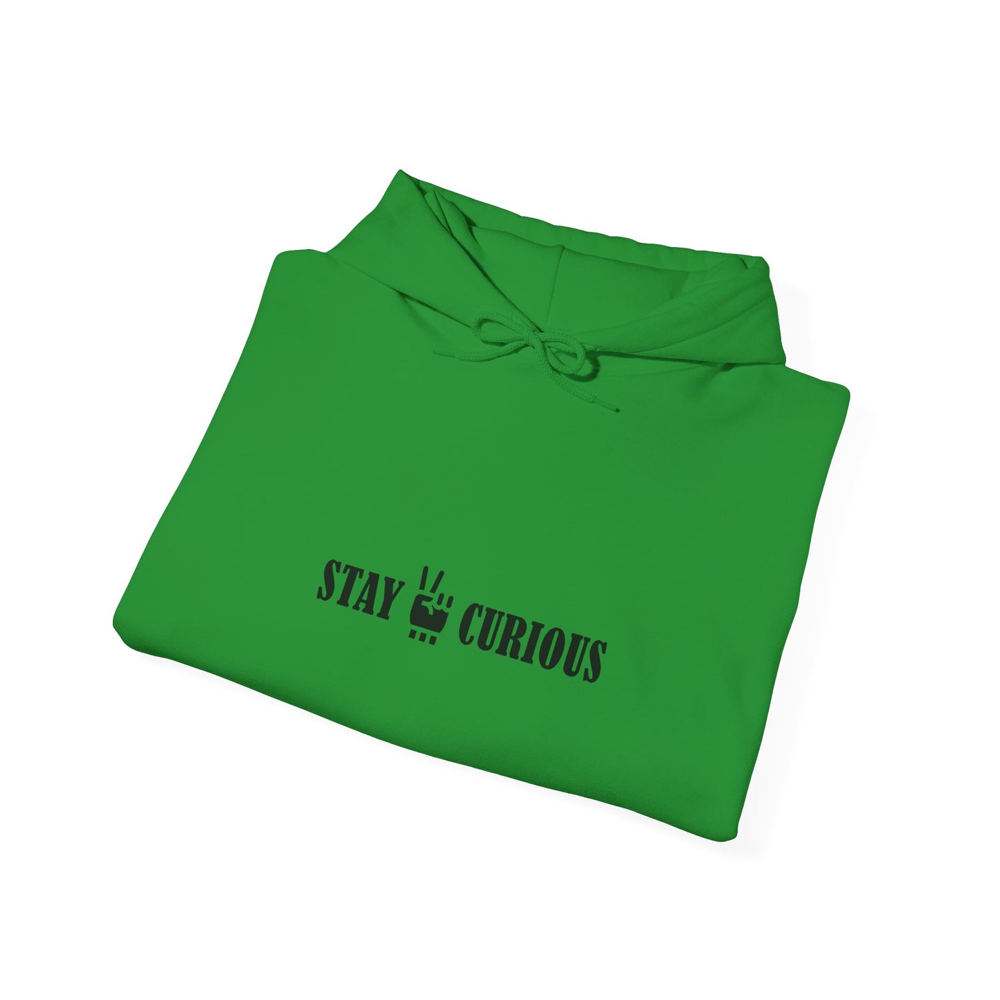 Stay Curious Hoodie