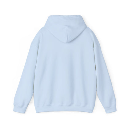 Stay Curious Hoodie