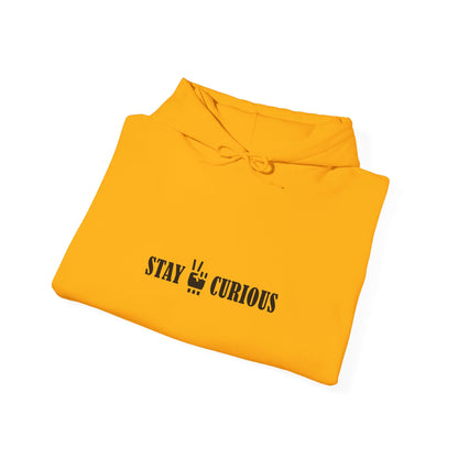 Stay Curious Hoodie