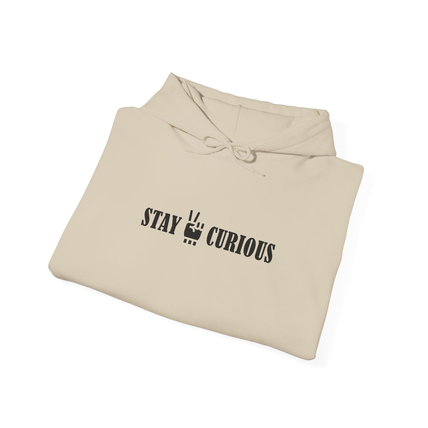 Stay Curious Hoodie