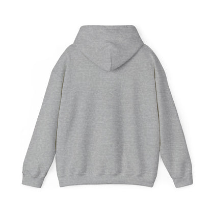 Stay Curious Hoodie