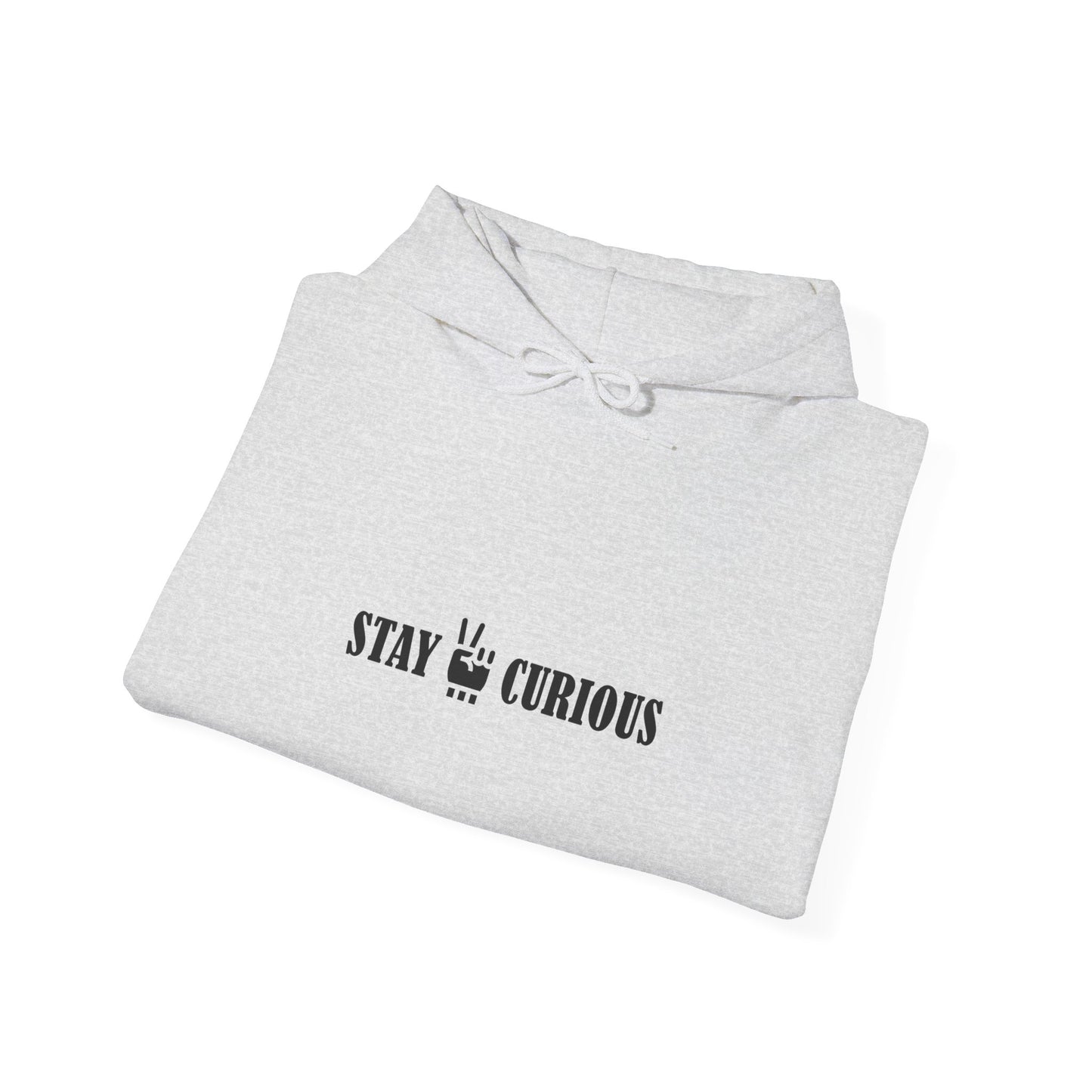 Stay Curious Hoodie