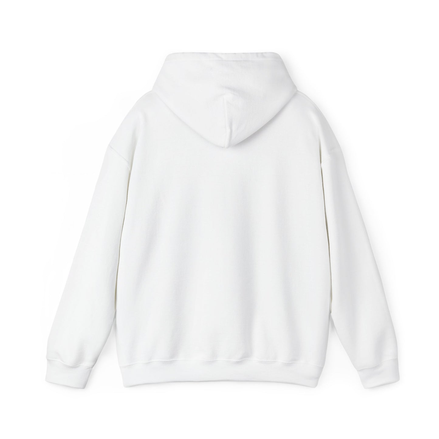 Stay Curious Hoodie