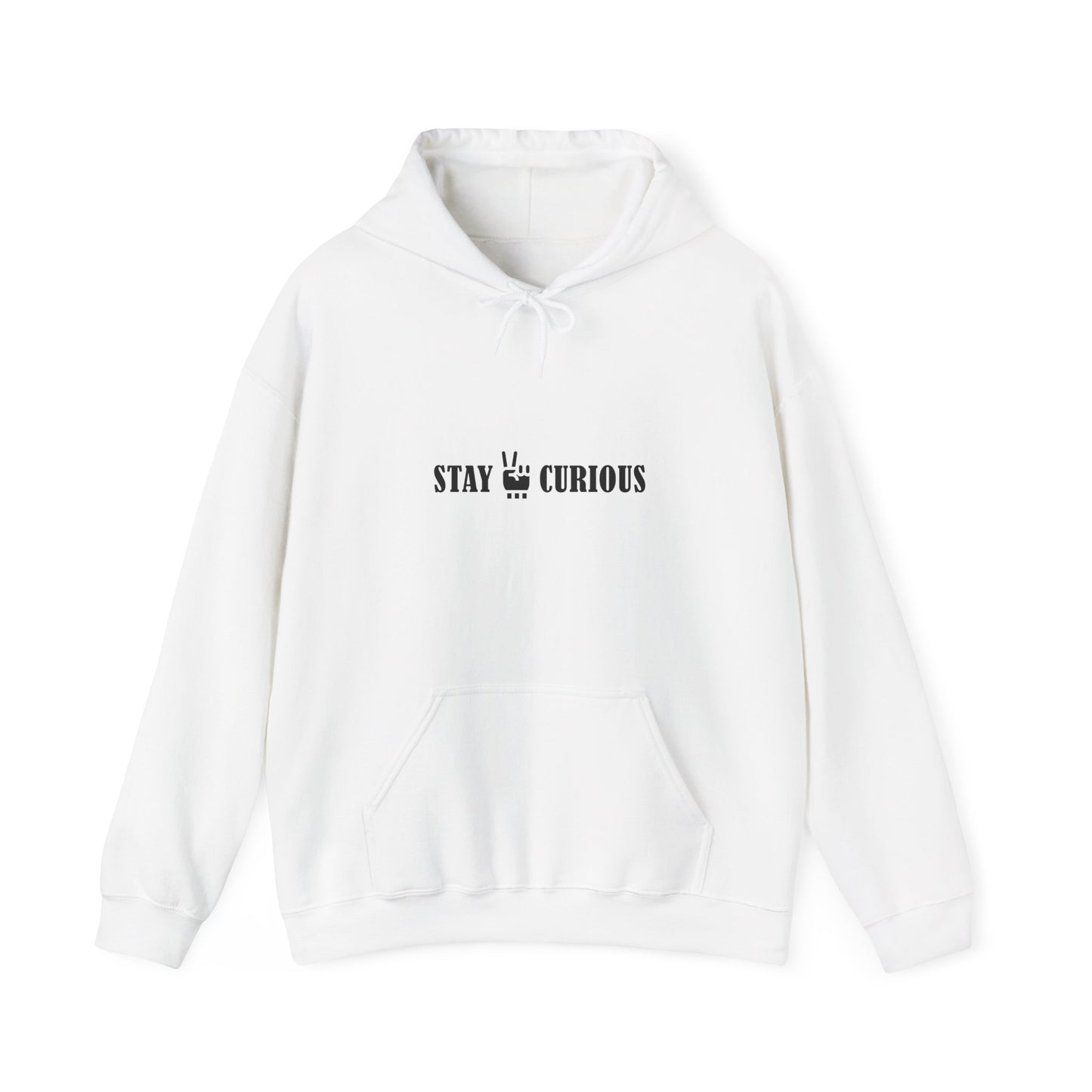 Stay Curious Hoodie