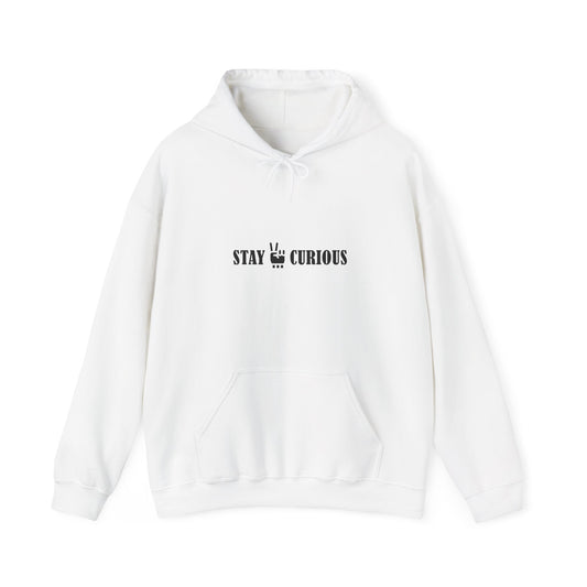Stay Curious Hoodie
